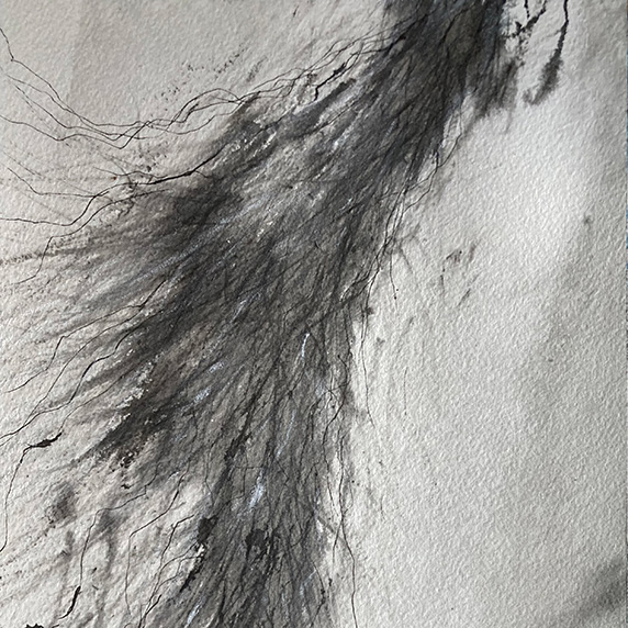 遠山由美「forthcoming」開催のお知らせ